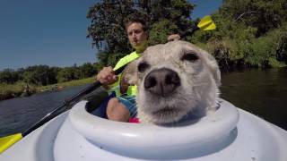 * Whats so great about kayaking anyways?