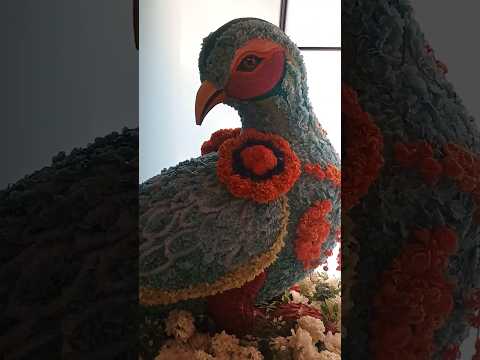 😱😍Killer Eyes❤️#shorts#ytshorts#youtubeshorts#viral#reels#shortsfeed#explore#trending#song#dhanteras