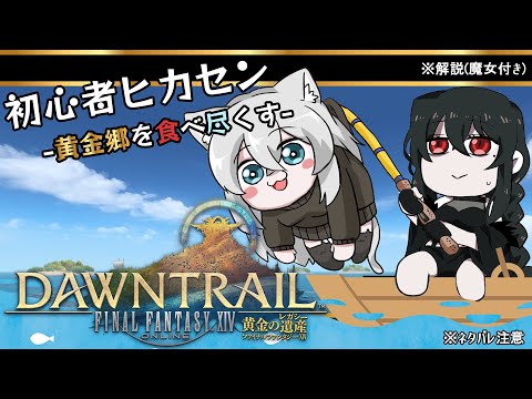 【#FF14】魔女なさコラボ🐾黄金郷を目指して!魔女監修の元、旅立つ#22🐾【#Vtuber】