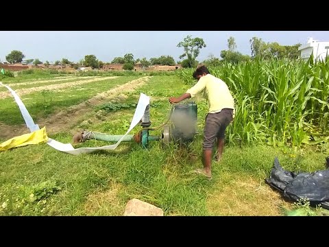 1500 मीटर पाइप का इस्तेमाल कर किस ने की डीजल इंजन वाटर पंप द्वारा फसल की #8hpwaterpump