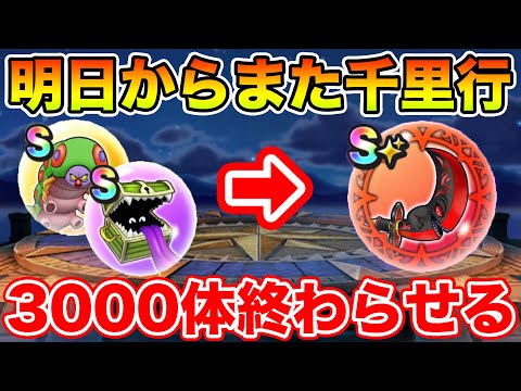 【ドラクエウォーク】今日で前半戦のミッションに決着をつけたい!! 3000体終わらせて週末を迎える!!【DQW】