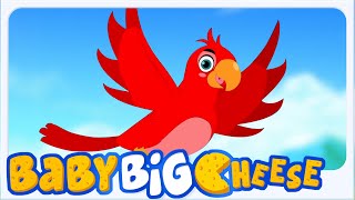 Main Tota in Red Colour, मैं तोता,  Hindi Rhymes for Babies and Parr