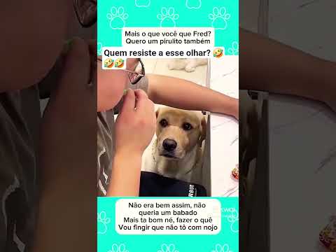 Troco Latido por Pirulito 🍭#pets #funnydog #petsfofinhos