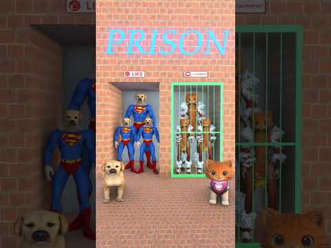Tigerkatze & Superhund. Wen wählst du? #funny #dog #cat #shots