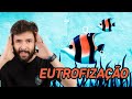 Eutrofização e Decomposição no Ambiente