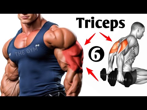 6 Best Triceps Exercises to Build Massive Arms Fast