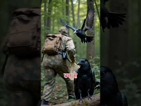 बूढ़ा कौवा और शिकारी का जाल 🦅 | Tajurba Ki Taqat | Heart Touching Hindi Story
