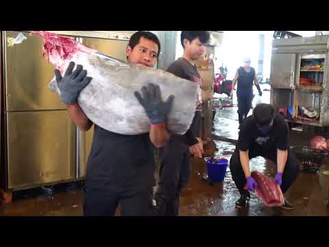 World's top technology: Uncovering the secrets of perfect bluefin tuna cutting