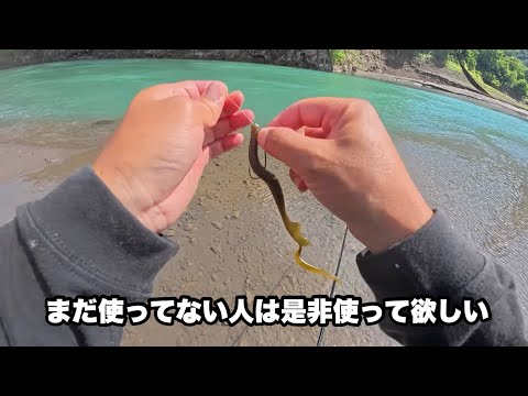 昼間の厳しい時間帯のはずがこのワームのおかげで簡単に釣れるようになりました