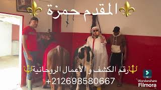 صدقة الباشا حمو ❤️ ولالة عيشة ⚜️ من زاوية المقدم حمزة لفك السحر و الأعمال الروحانية 0698580667