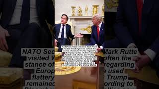 ⚡️NATO angst over Trump meeting #shorts