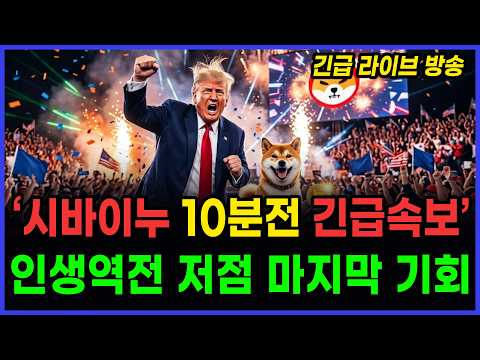 시바이누10분전 라이브 저점 마지막 기회 입니다!! (트럼프도 경악)