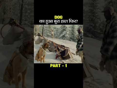 Dog का हुआ बुरा हाल फिर? #shorts #adventuremovieexplain