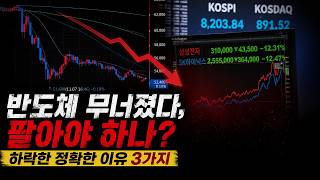 반도체 폭락, 지금 팔아야 할까? 하락한 진짜 이유 3가지