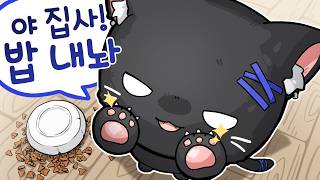 이 고양이 안 보고 지나치면 후회합니다