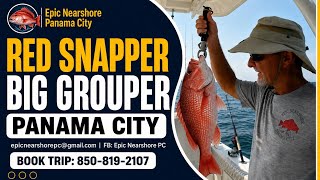 Panama City Beach Fishing: Red Snapper & Big Red Grouper