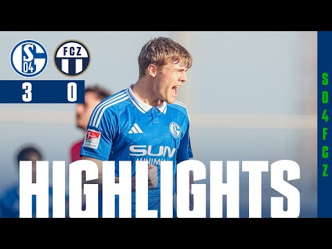 Match Highlights Schalke 04 - FC Zürich