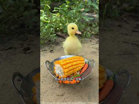पापा चीकू के लिए आज गिफ्ट 🥺| New Viral Gadgets, Smart Appliances, Kitchen Utensils/ Home Inventions