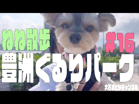 #16【ねね散歩】東京都江東区豊洲ふ頭内公園・豊洲ぐるりパーク