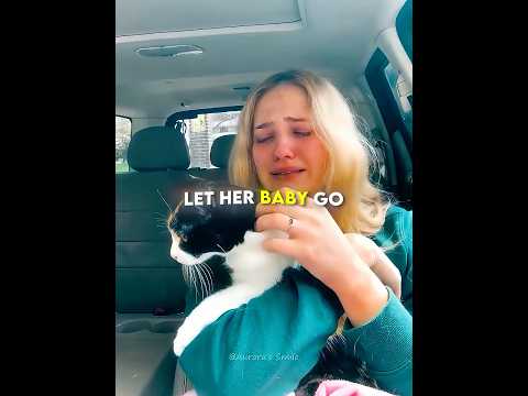 She Was Criticized💔 for Filming Her Dying Cat, But She Had a Reason💔 #fastsergeylife