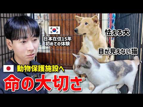 日本の小さな命を大切にする精神を学びました｜動物保護施設の支援活動【山口県旅EP.2】