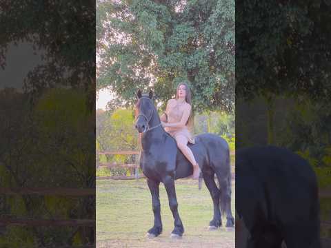 Olha o que o cavalo fez #memesvaqueiros #shortsyoutube #cavalo #piadadasemana #agro #shortsviral