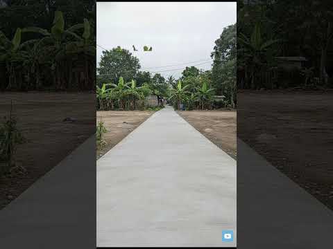 Every villager has the right to a good quality of life ๐ฅบ