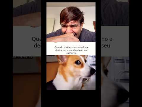 😂😂#pet