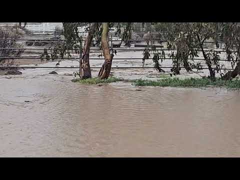 Flooding Oak Hills
