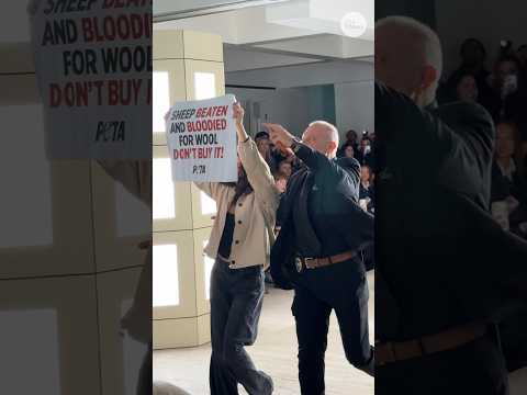 PETA protesters infiltrate runway at New York Fashion Week
