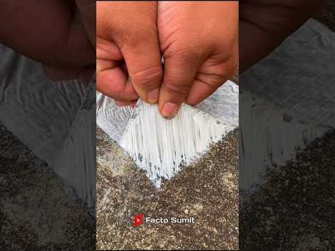 Smart Fevicol🧨😱~New Viral Gadgets, samrat appliances, Kitchen Utensils/Home invention #shortvideo