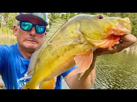My fish are STARVING to death! Massive Ranch Overhaul!