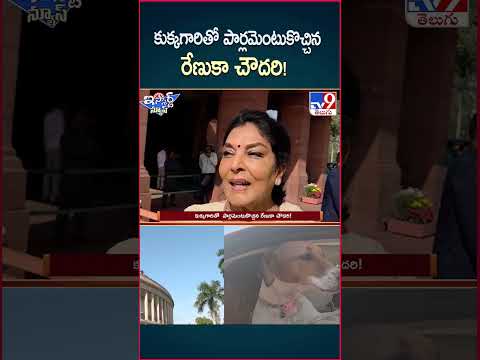 iSmart News : కుక్కగారితో  పార్లమెంటుకొచ్చిన రేణుకా చౌదరి| Renuka Chowdhury Brings Dog to Parliament