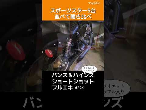 スポーツスターマフラー聴き比べ【ショートショット・クワイエットバッフル入り】#ハーレー #ハーレーダビッドソン #スポーツスター