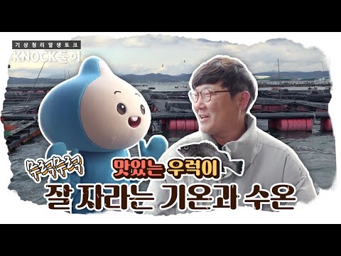 [KNOCK둘이] 우럭이 잘 자라는 기온과 수온은?