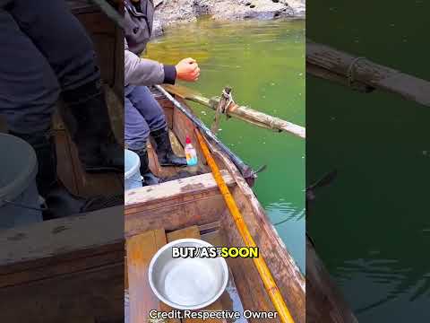 Hidden Net Found ๐ฒ๐ฃ