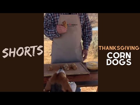 You Ain''t Gonna Believe these Corndogs with Thanksgiving Leftovers #shorts