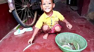 কতো মাছ 🐟🐟 ধরেছি