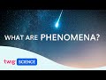 Understanding Phenomena in Science