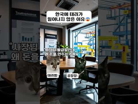 테러 #고양이밈