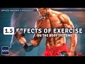 Effects of Exercise on Body Systems