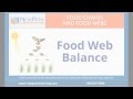 Exploring Food Chains and Webs