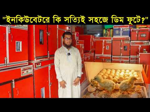 আসলেই কি ইনকিউবেটরে খুব সহজে হাঁস, মুরগি এবং কোয়েল পাখির ডিম ফুটে বাচ্চা হয়?