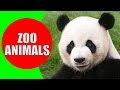 Animal Sounds and Lab Discoveries