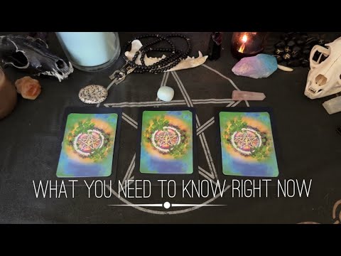 Spirit Has a Message For You Now 🔮 | Pick a Card Reading