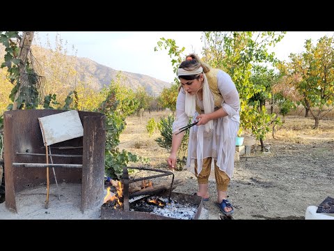 Cooking chicken, lamb with walnuts and pomegranate sauce in the village style of Iranian nomads!