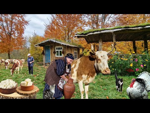 Натуральный Йогурт, Масло и Творог из Свежего Молока.