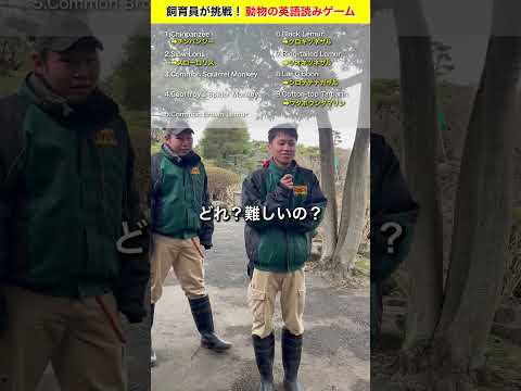 チームさるが挑戦！動物の英語読み！