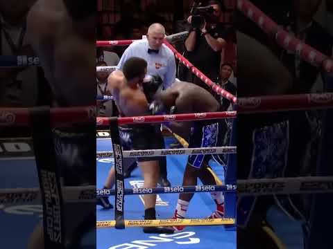 Did This Punch Win the Fight?!😮🔥