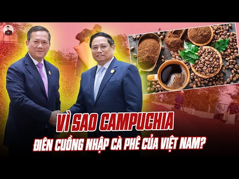 VÌ SAO CAMPUCHIA ĐANG ĐIÊN CUỒNG NHẬP CÀ PHÊ CỦA VIỆT NAM?